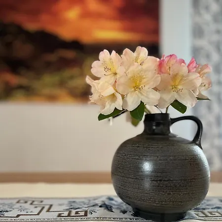 Apartment L & S - Gemuetliche Im Gruenen Bei Dresden Freital