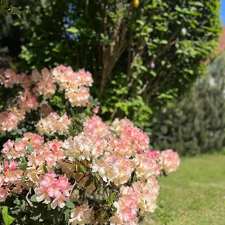 L & S - Gemuetliche Im Gruenen Bei Dresden Apartment