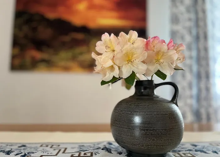 Apartment L&s - Gemütliche Im Grünen Bei Dresden Freital