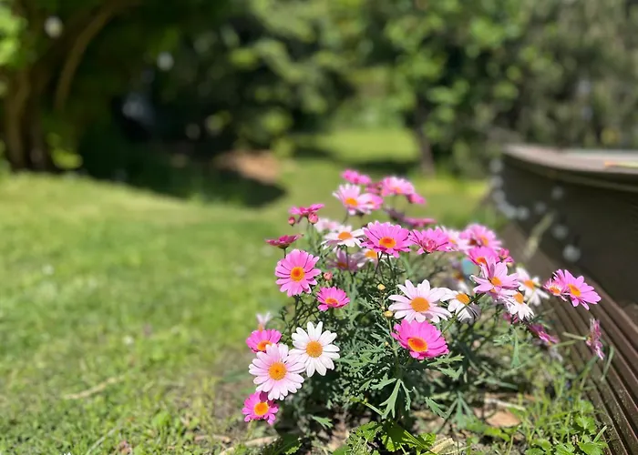 Apartment L&s - Gemütliche Im Grünen Bei Dresden